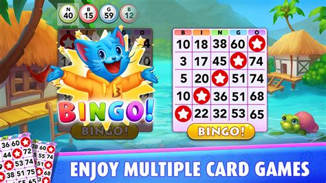 bingo blitz|bingo blitz org.